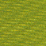 TN9702 lime